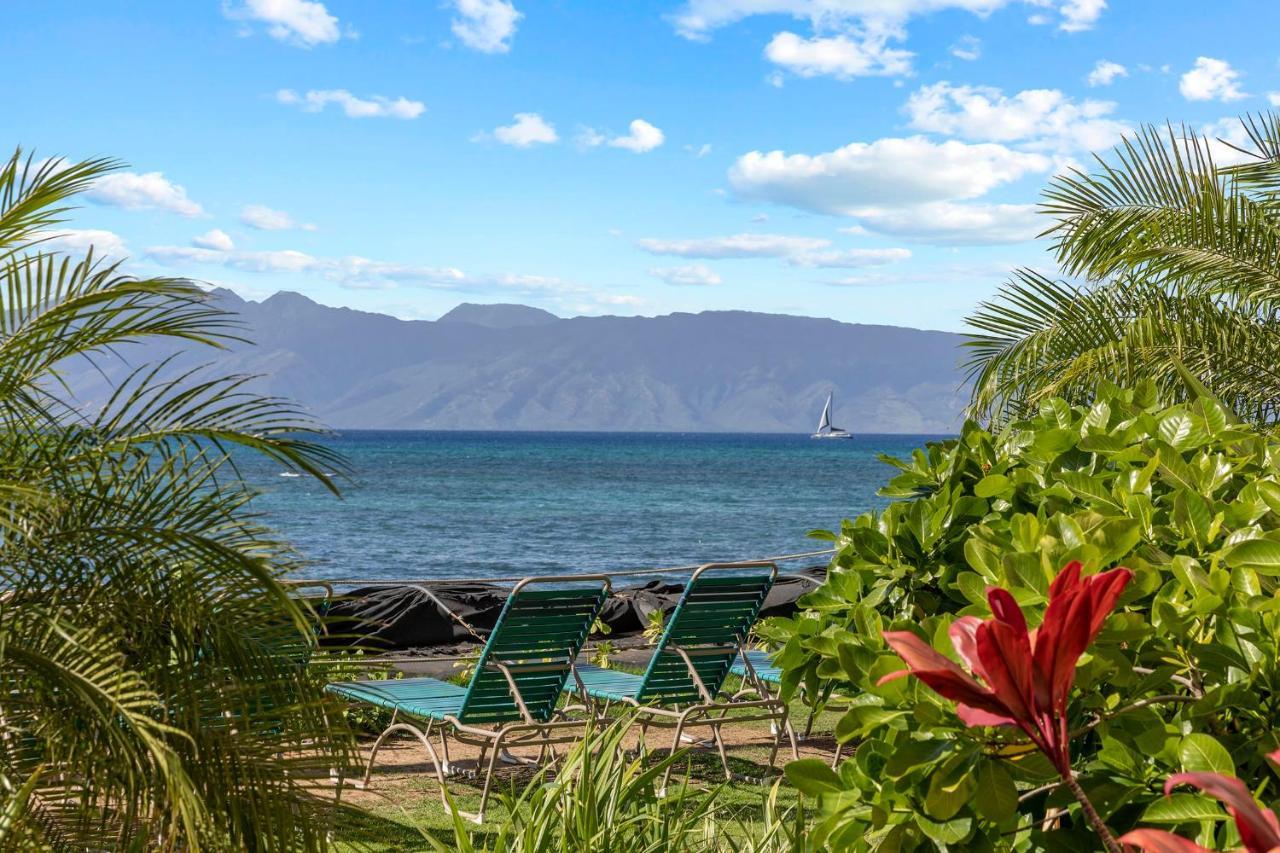 Incredible Beachfront 1Br - Sleeps 4 Awesome Location And In The Center Of Restaurants Many Beaches Golf And More Villa Kahana Bagian luar foto